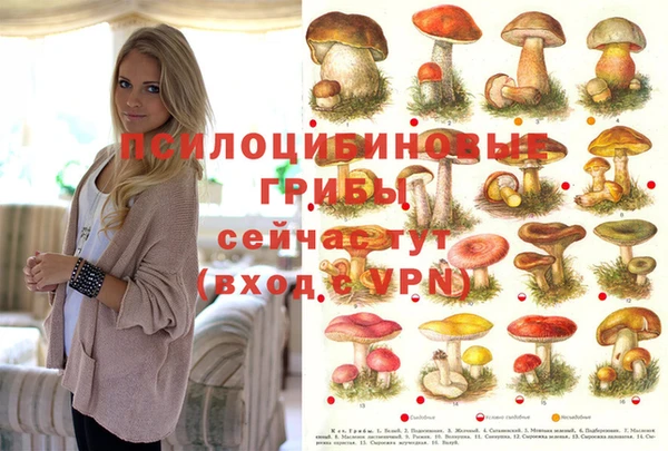 прущая мука Переславль-Залесский