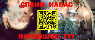 сатива Бузулук