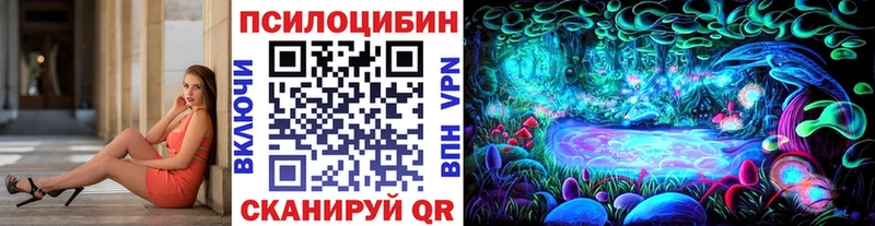 площадка Telegram  Отрадный  Псилоцибиновые грибы Psilocybine cubensis 