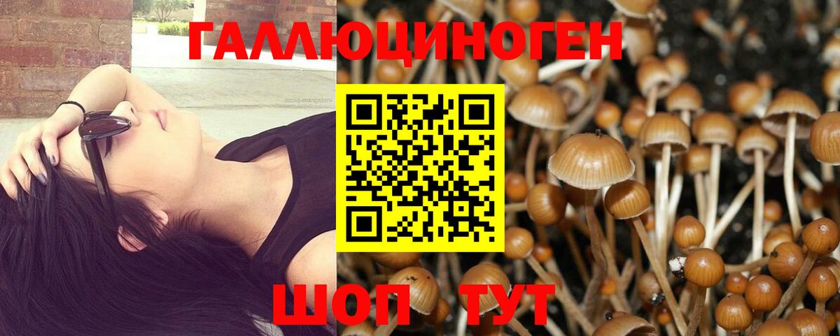 Псилоцибиновые грибы MAGIC MUSHROOMS Отрадный